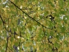 herbst-4