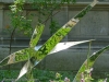 rs-04-stahl