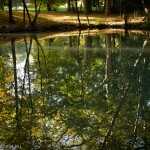Werner Gstrein - Poetzleinsdorfer Park, Vienna