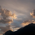 DSC_6453