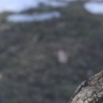 IMG_7850