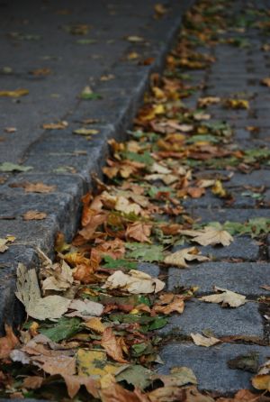 3-dsc_0249