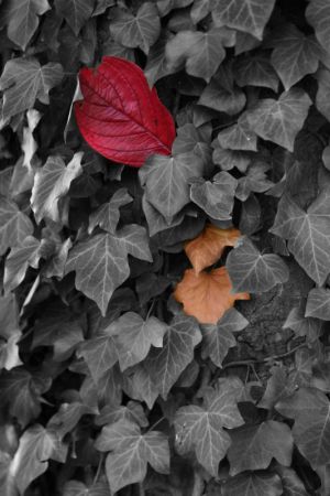 herbst-3