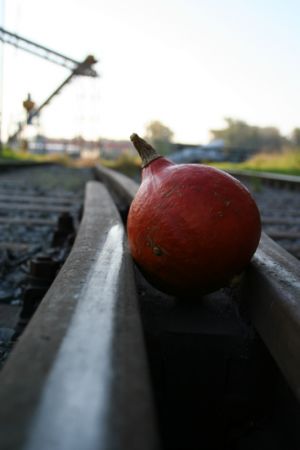 herbst_2