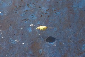 img_2445