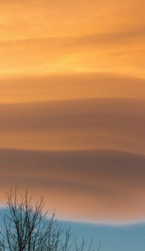 Tree Colours Sky - Gerhard Gruber